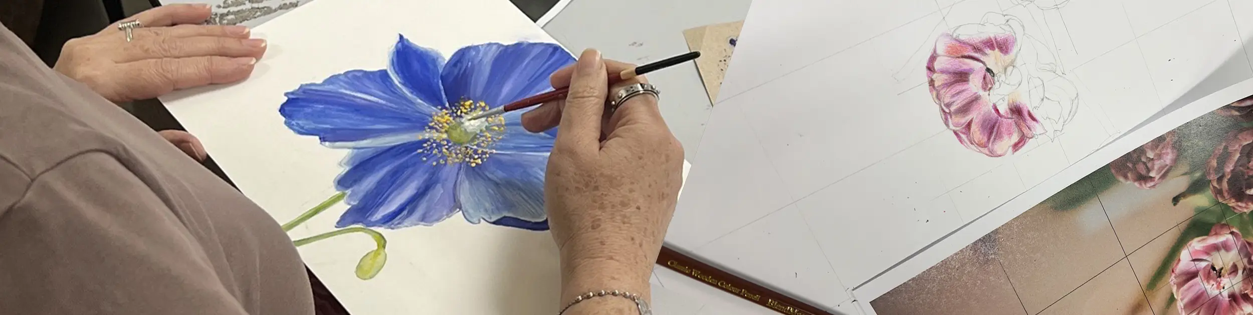 Botanical drawing