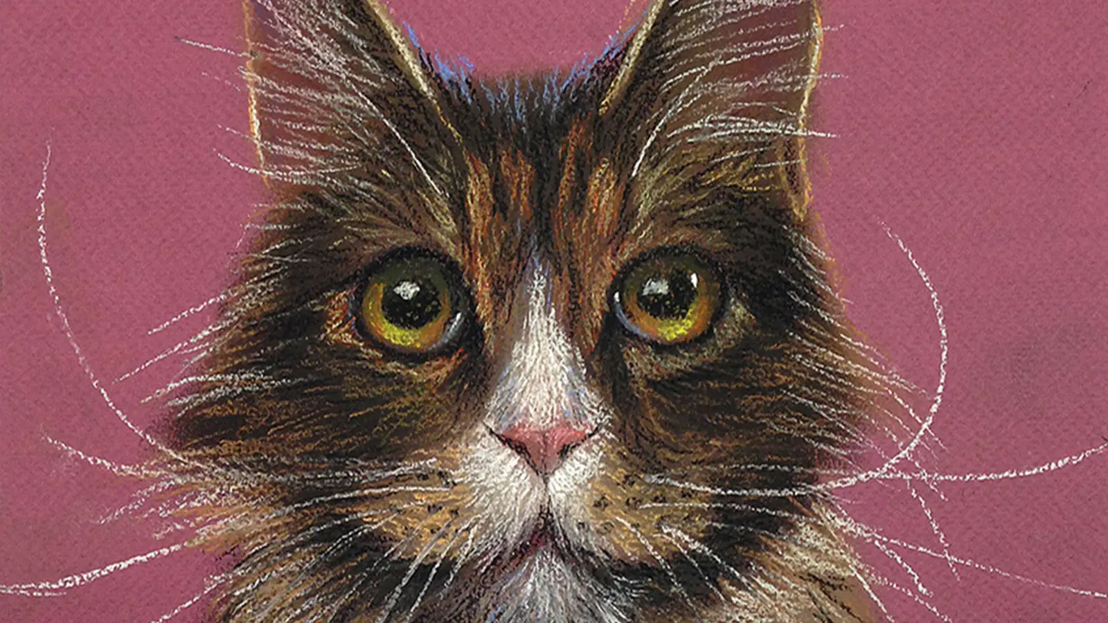 Soft Pastel Drawing