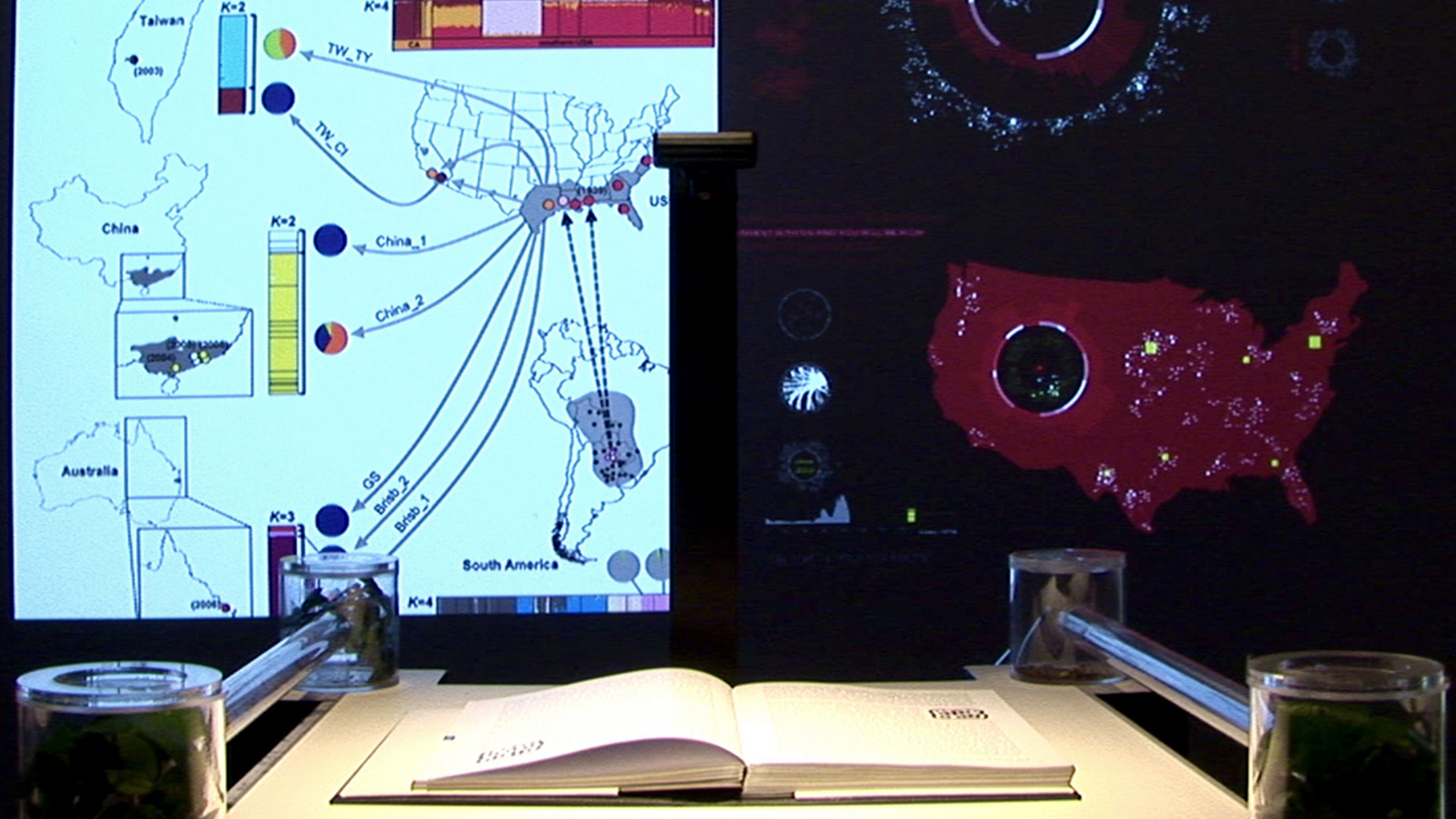 Imaginations of Disorder in Art, Science and Philosophy