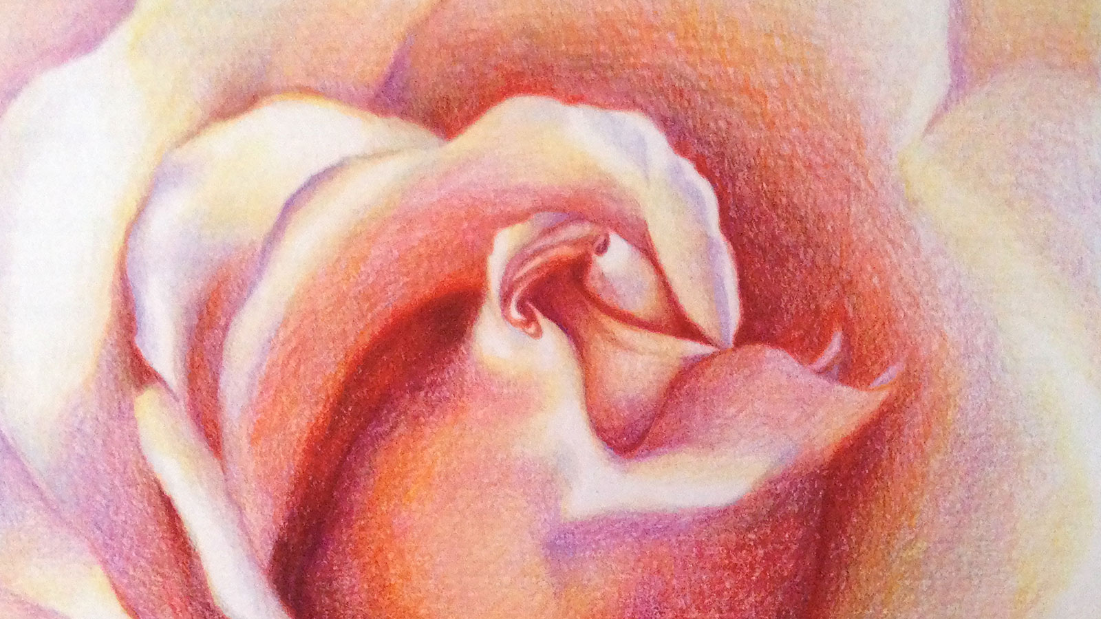 Colour Pencil Drawing