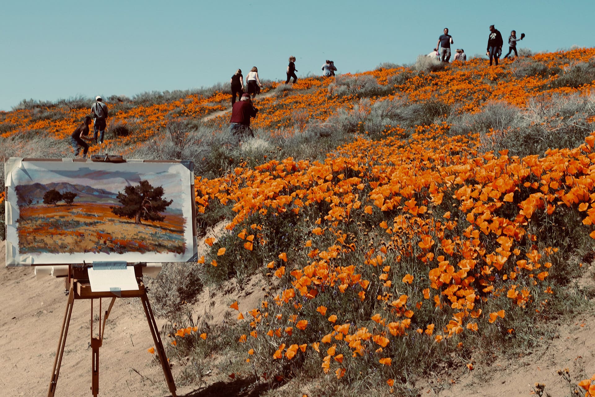landscape-painting