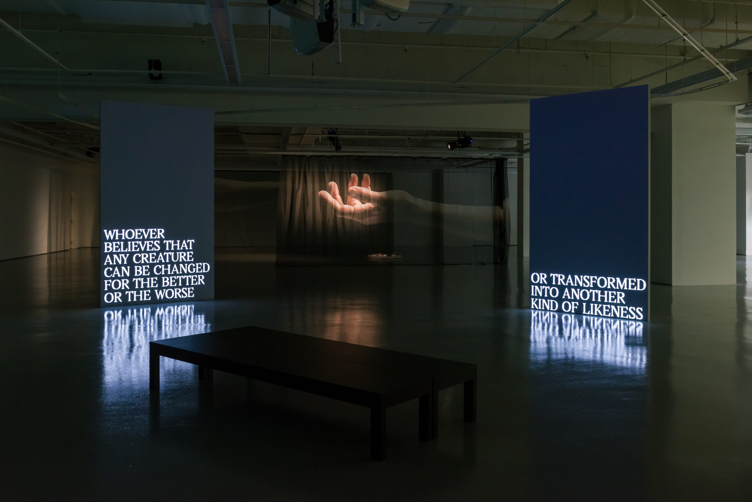 LASALLE installation with illuminated text panels reading poetic lines, a projected hand image, and a bench in the dimly lit gallery.