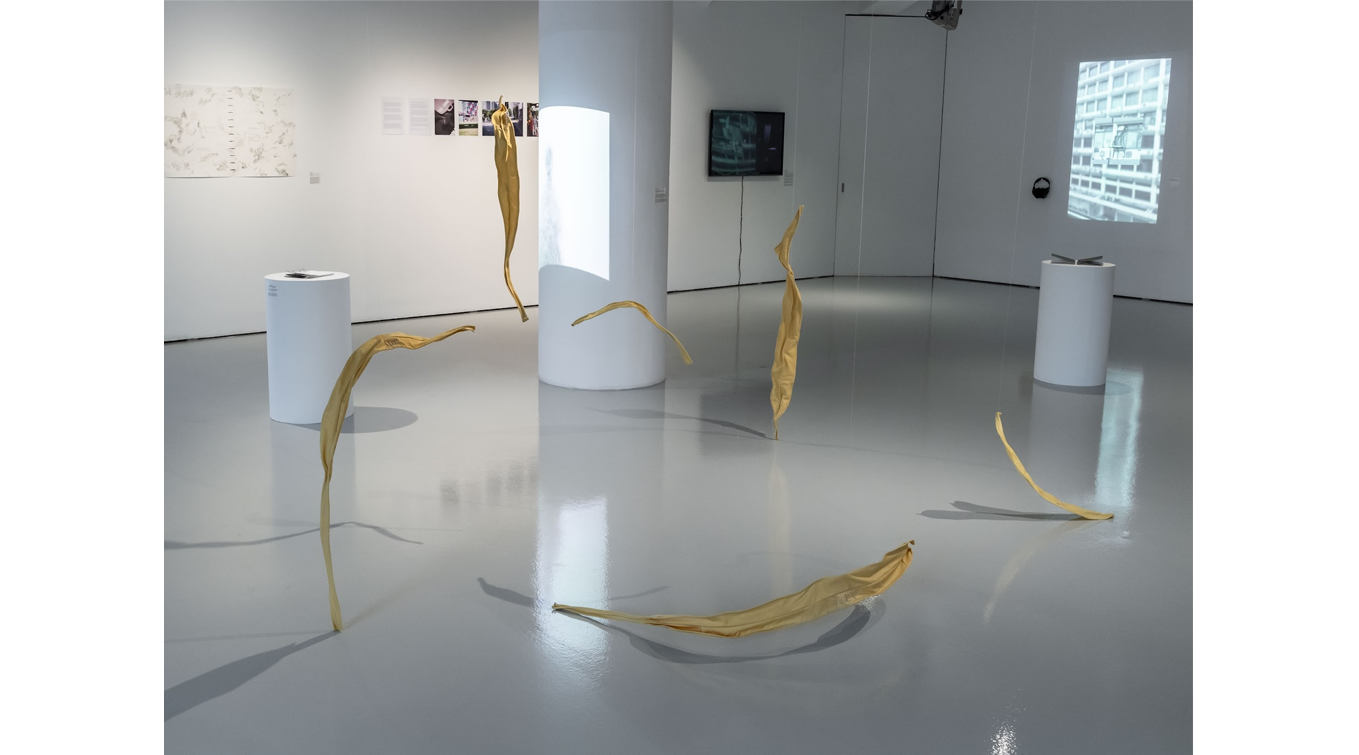 Image: Tropical Lab 18, 2024 (photography by Ken Cheong)